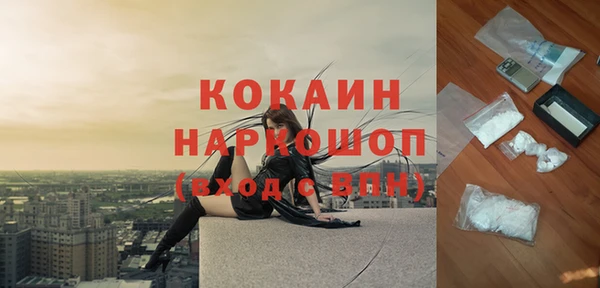 соль ск Алексин